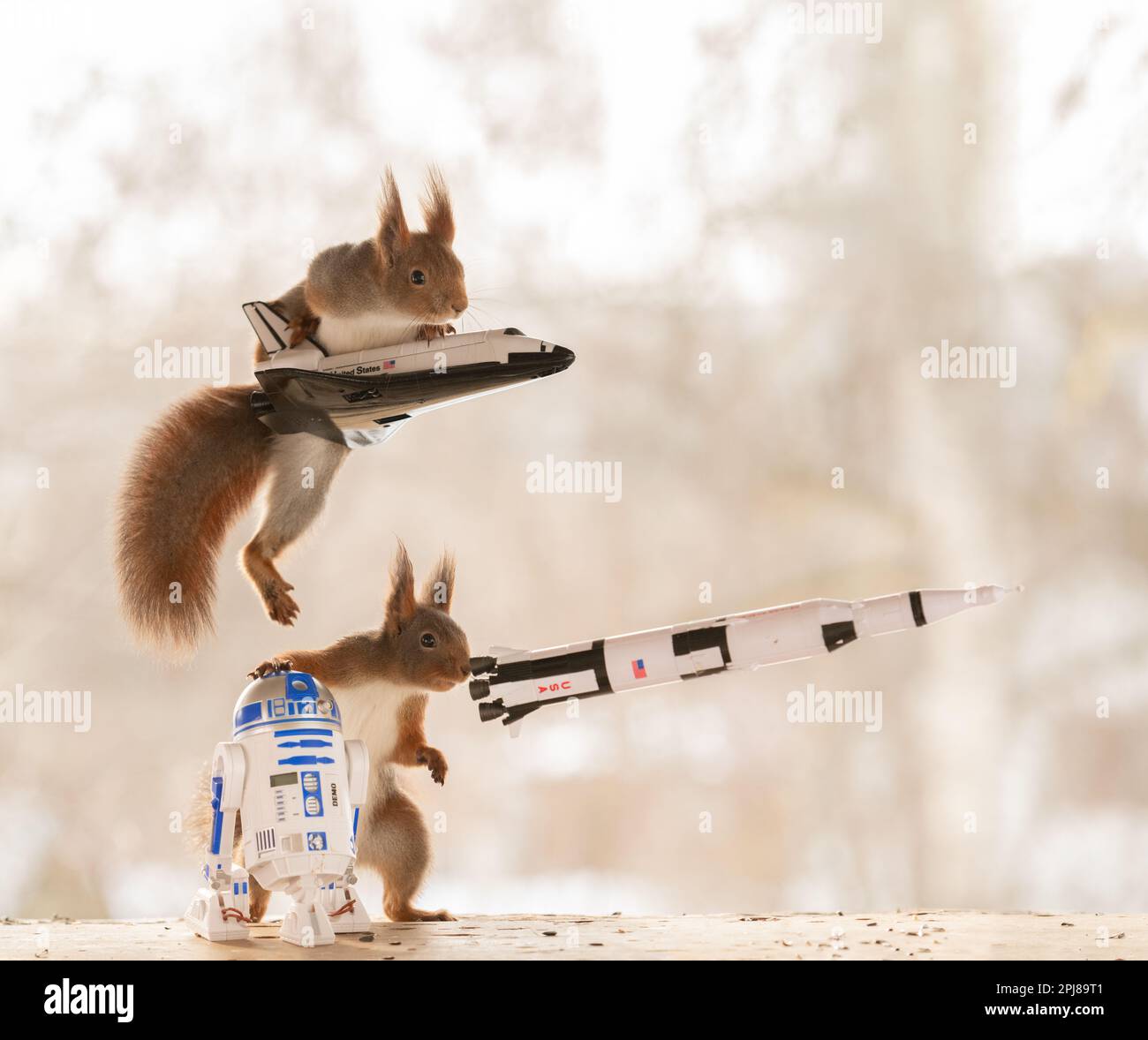 Squirrel With Lightsaber