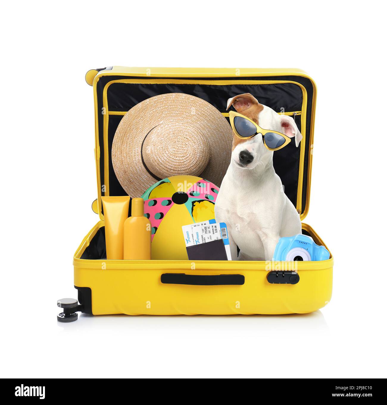 Cute dog and summer vacation items in suitcase on white background