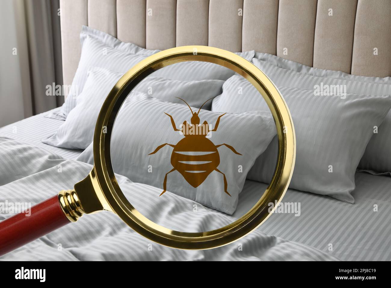 Magnifying glass detecting bed bug in bedroom, closeup view Stock Photo
