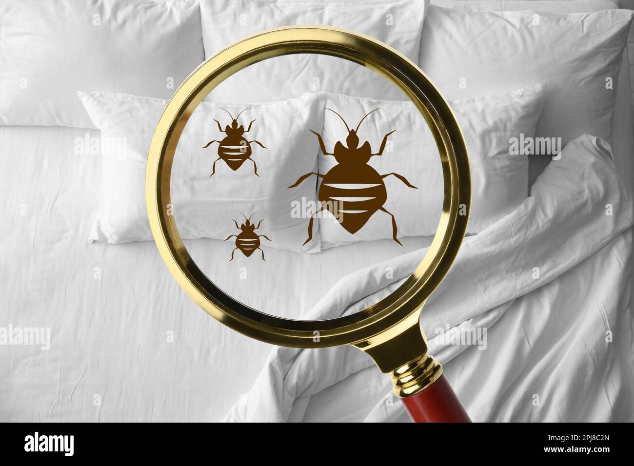 Magnifying glass detecting bed bug in bedroom, closeup view Stock Photo