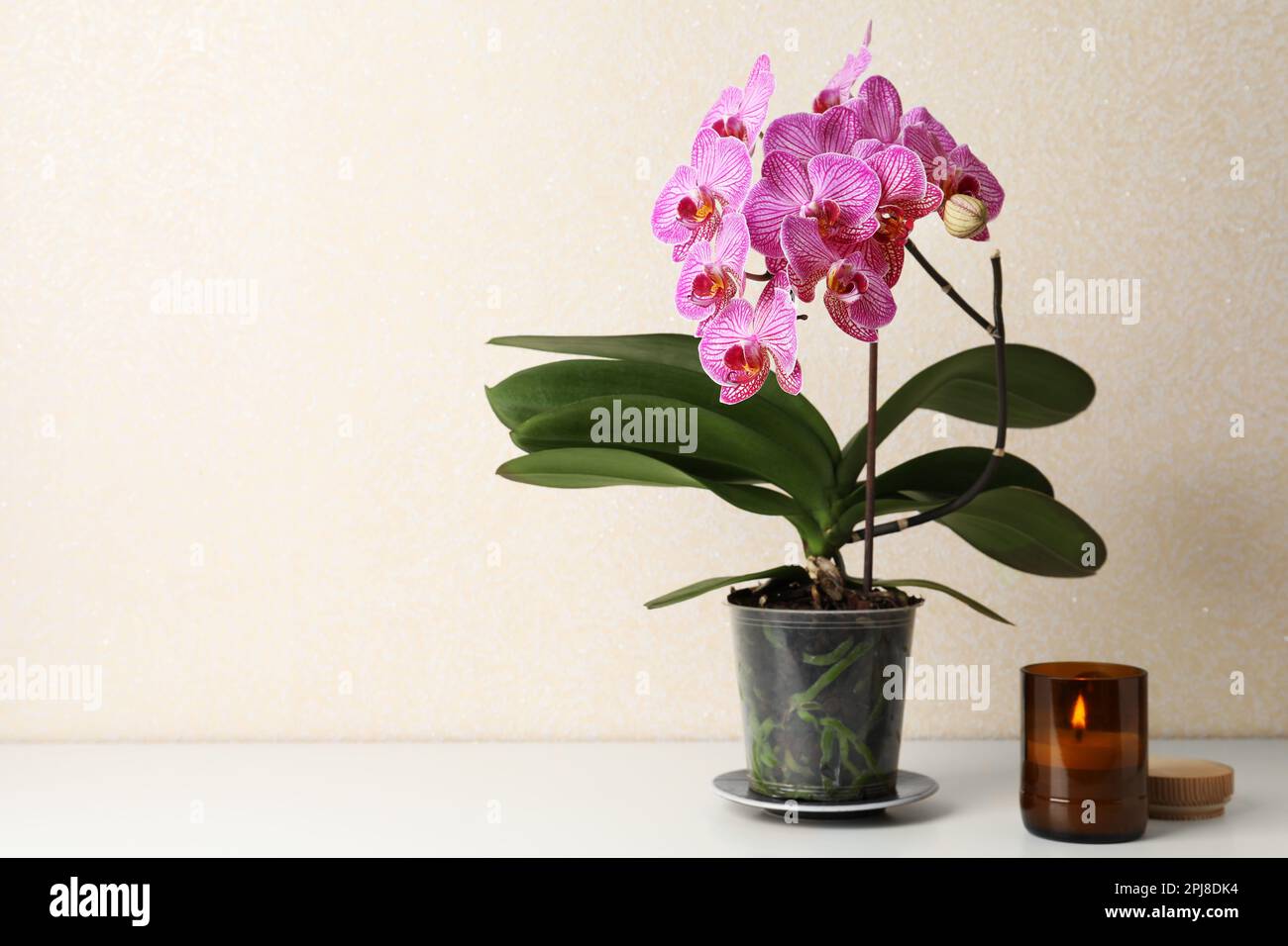 Beautiful blooming orchid and burning candle on white table near beige wall. Space for text Stock Photo