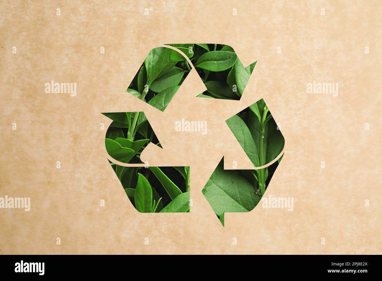 Recycling symbol made of green leaves on kraft paper Stock Photo - Alamy
