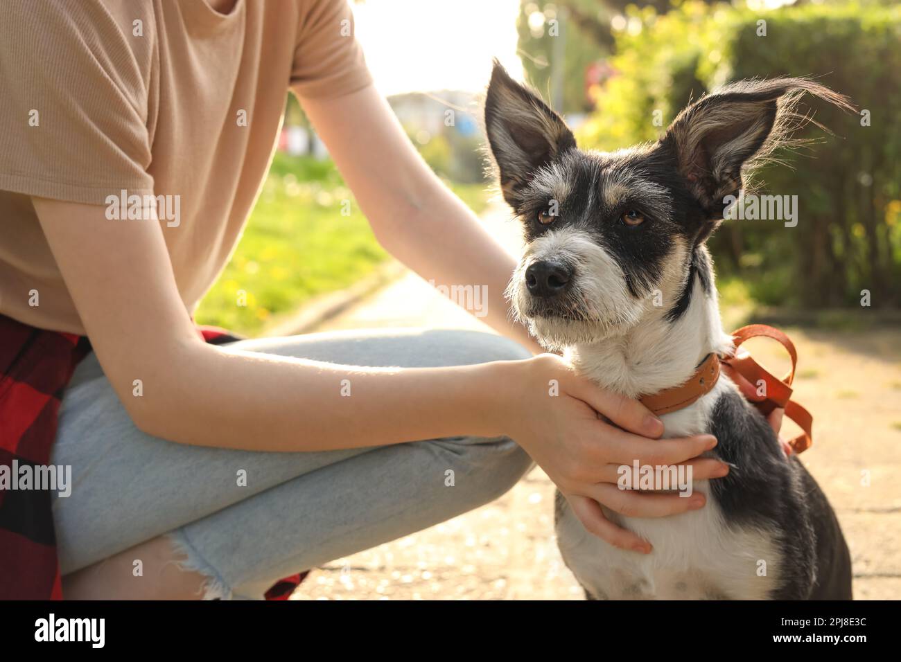 Teenage girl with her cute dog in park, closeup Stock Photo - Alamy