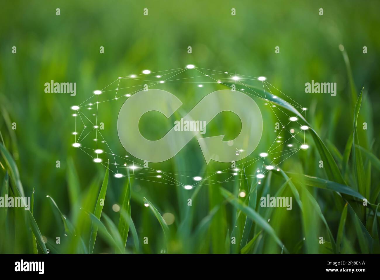 Circular economy concept. Green grass and illustration of infinity symbol Stock Photo