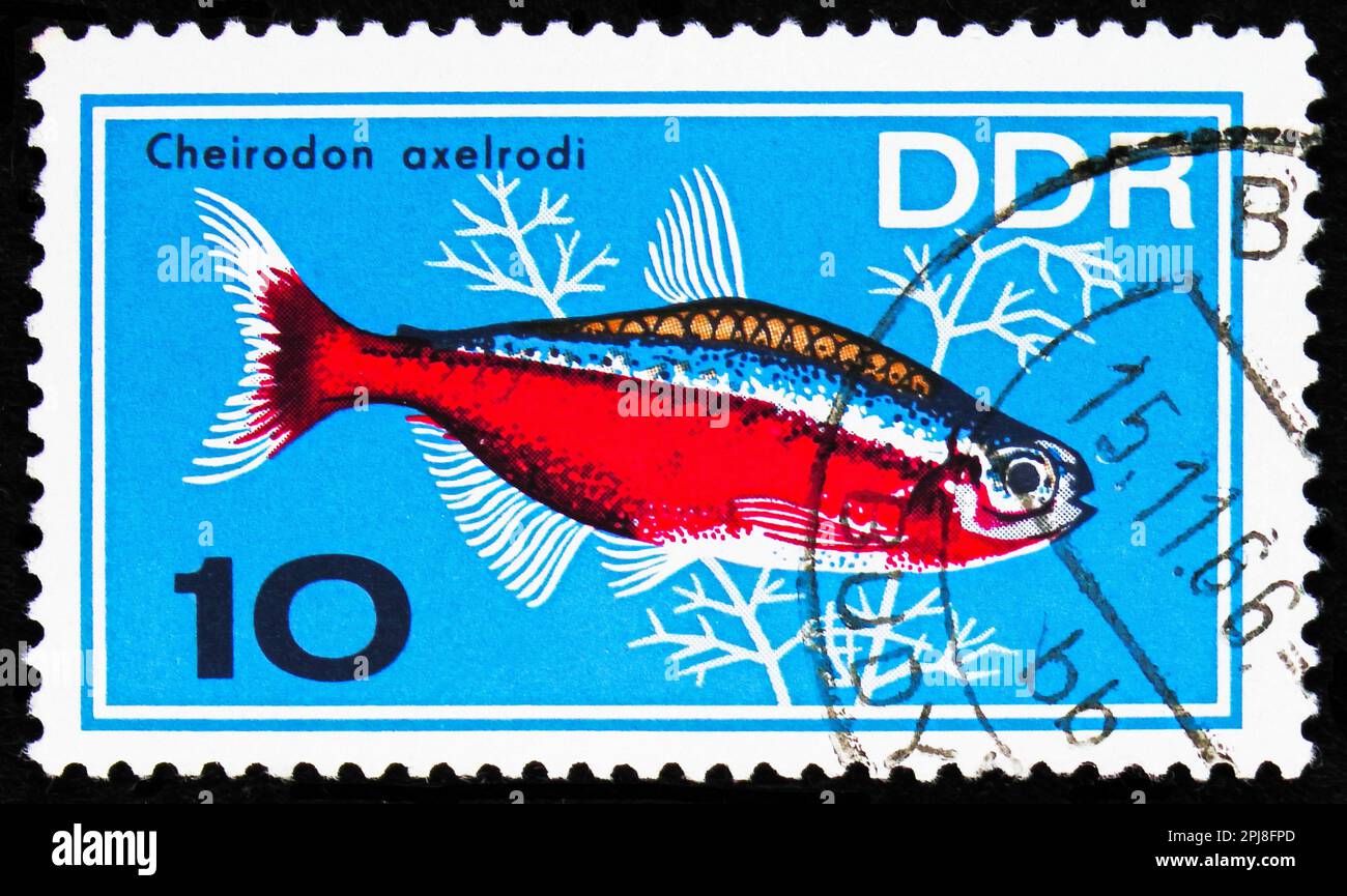MOSCOW, RUSSIA - MARCH 25, 2023: Postage stamp printed in Germany shows Cardinal Tetra (Cheirodon axelrodi), Aquarium Fish serie, circa 1966 Stock Photo