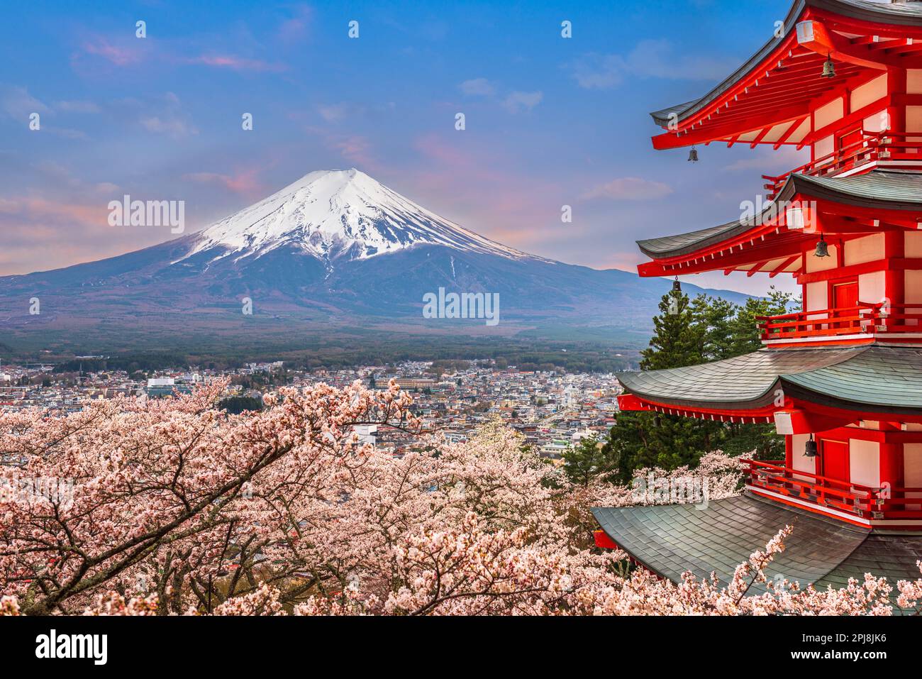 Fujiyoshida, Japan at Chureito Pagoda and Mt. Fuji in the spring with cherry blossoms. Stock Photo