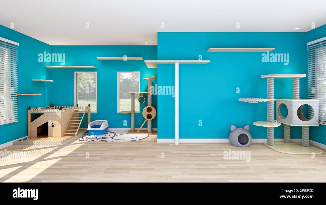 Cat's room interior in blue wall with cat house and cat condo, room