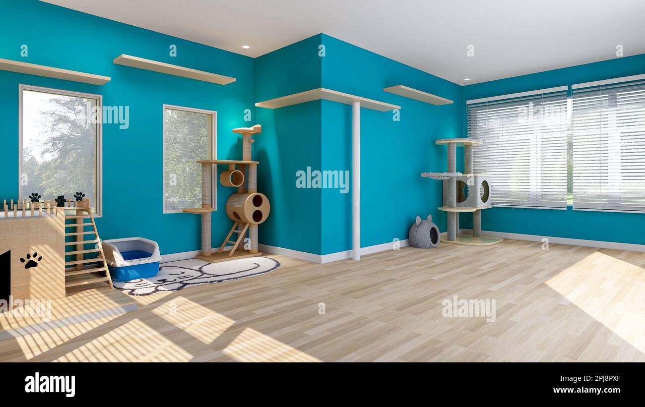 Cat's room interior in blue wall with cat house and cat condo, room