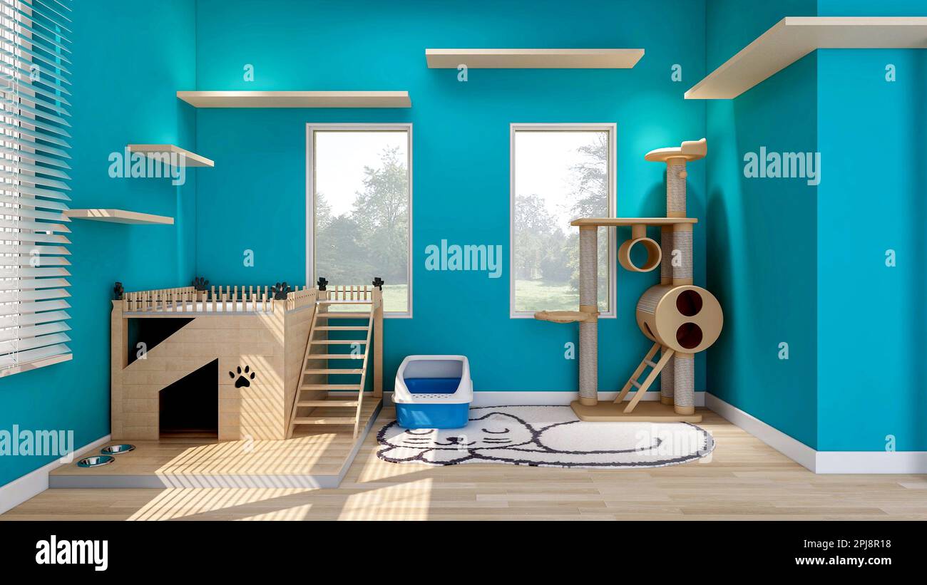 Cat room 2024