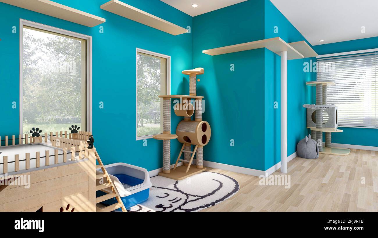 Cat's room interior in blue wall with cat house and cat condo, room