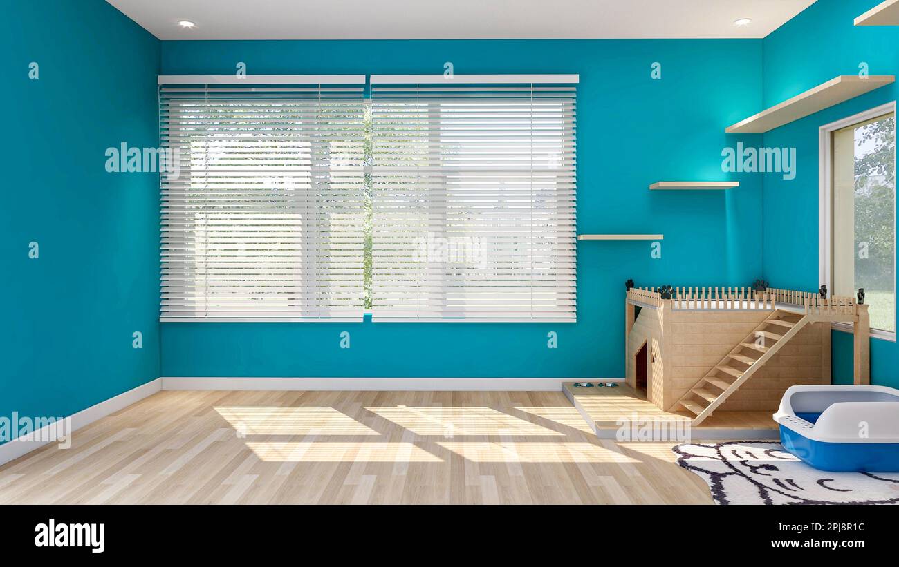 Cat's room interior in blue wall with cat house and cat condo, room