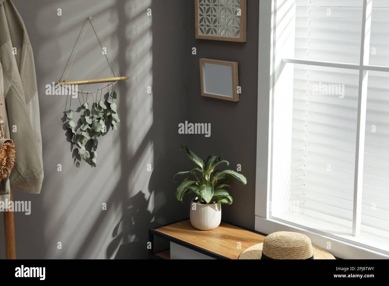 Modern air humidifier, cup and bamboo mat on counter in kitchen Stock Photo  - Alamy