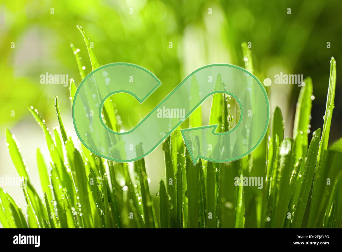Circular economy concept. Green grass with dew and illustration of infinity symbol Stock Photo