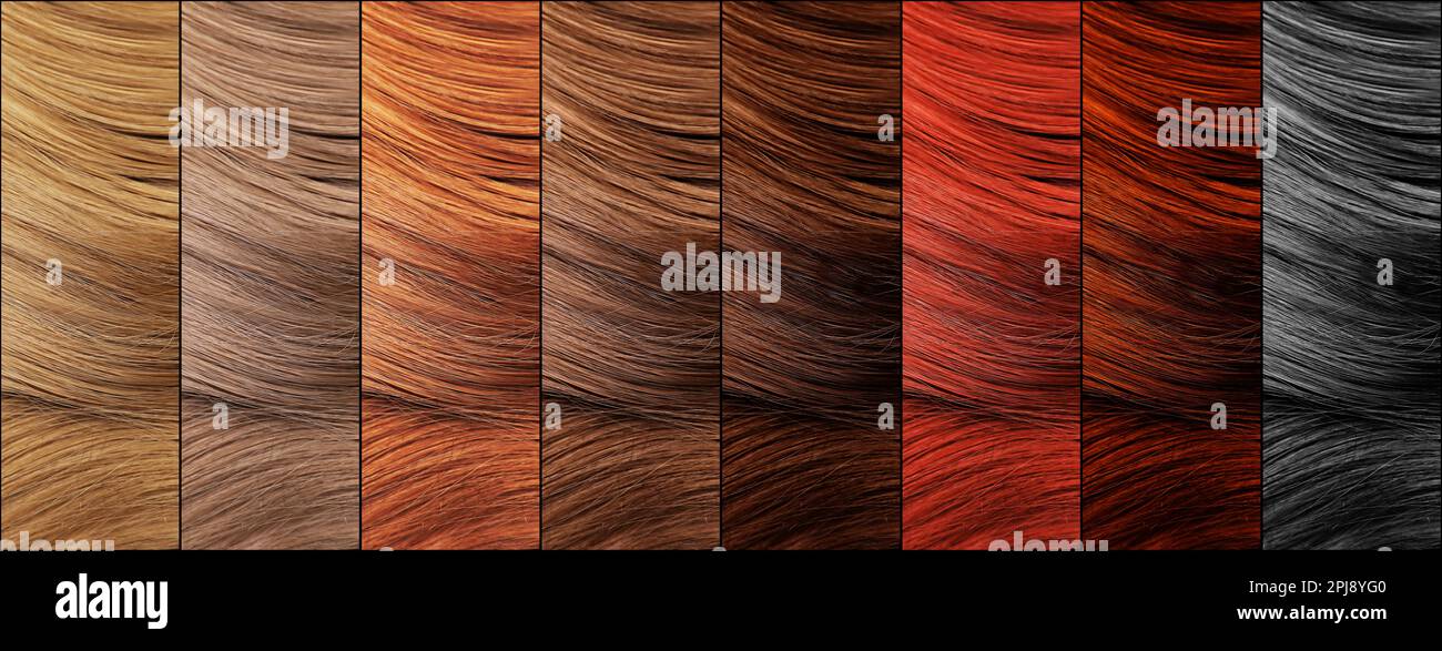 Hair colors palette, top view. Banner design Stock Photo
