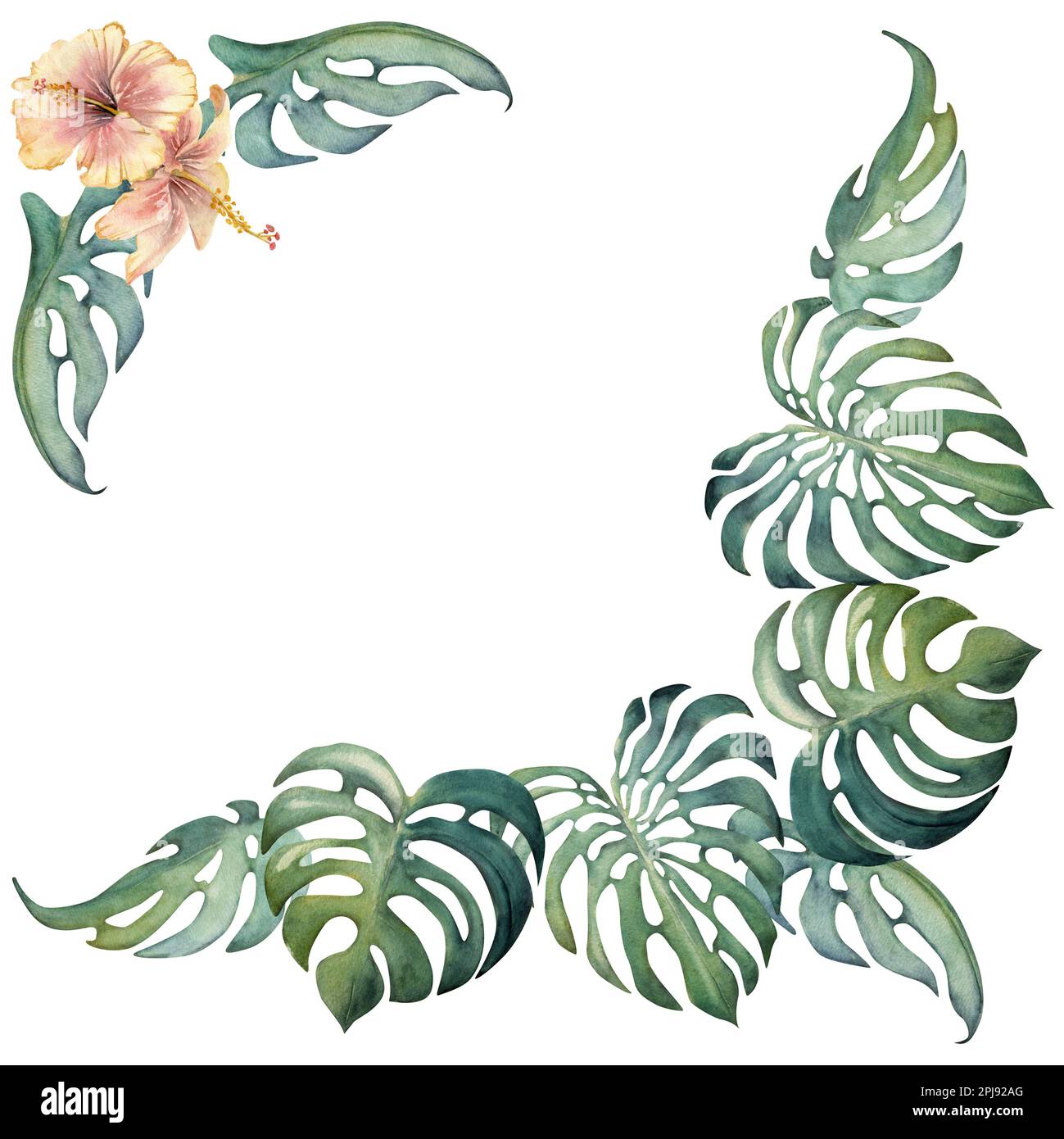 Hand drawn watercolor exotic monstera leaves and hibiscus flowers