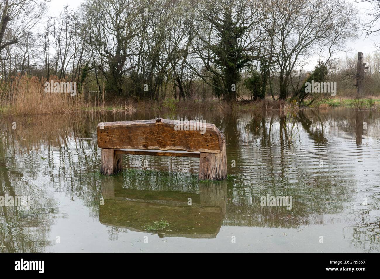 1 April 2023. After the wettest March in England for over 40 years, Edenbrook Country Park in Fleet, Hampshire, UK, is badly flooded. Extreme weather such as high rainfall flooding may be linked to climate change. Stock Photo