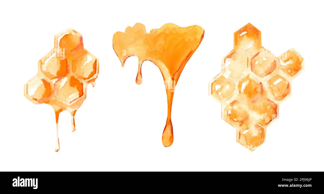 Honeycomb and honey glucose on a white background. Watercolor hand drawn illustration. Stock Photo