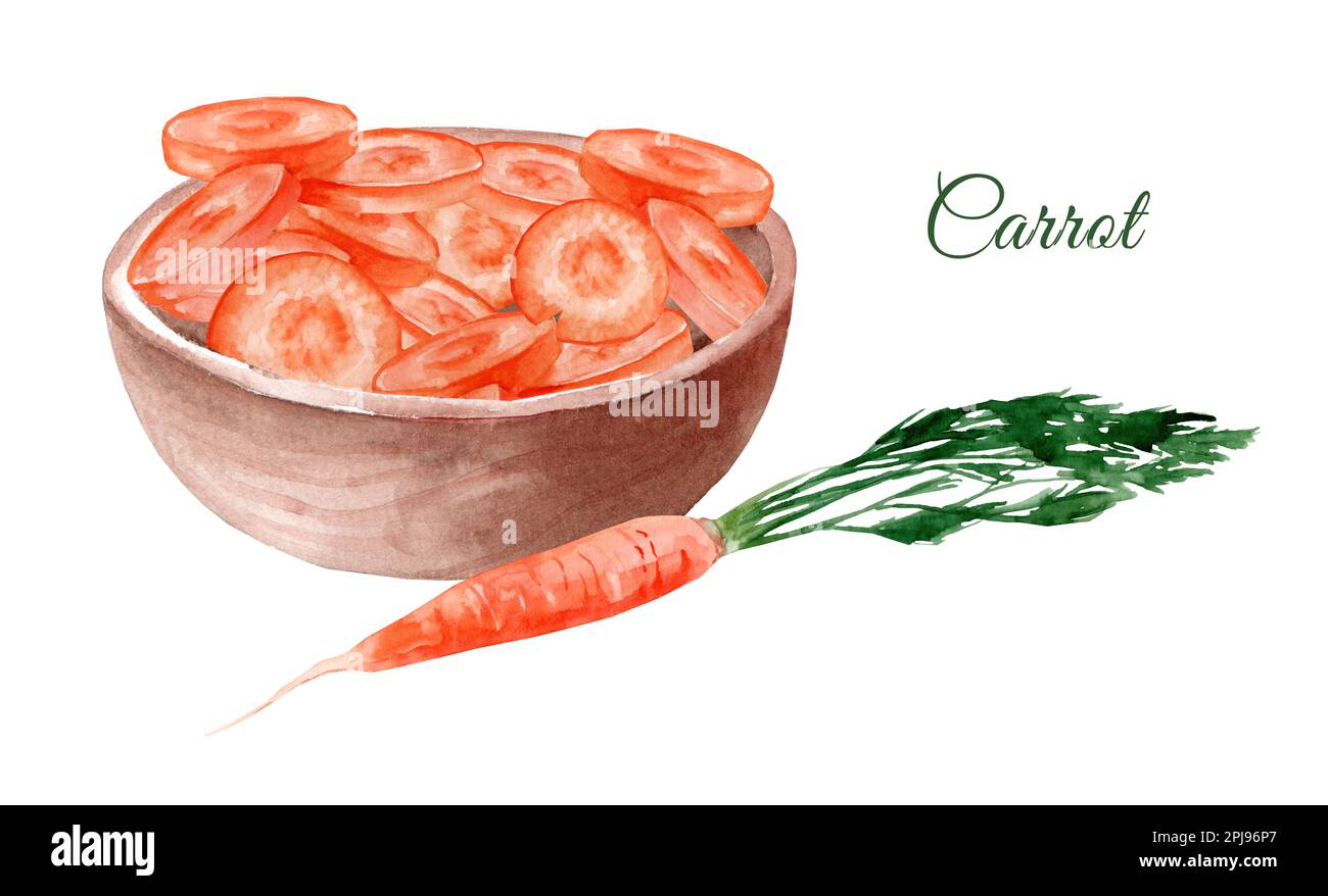 Bowl of chopped carrots. Watercolor hand drawn illustration Stock Photo
