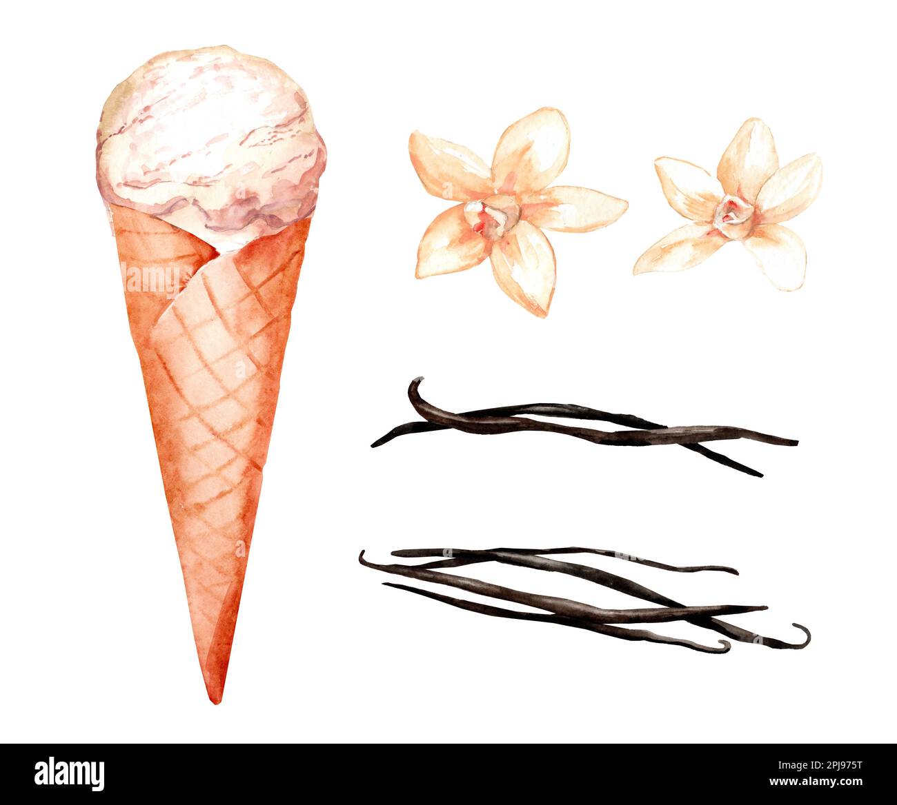 Ice cream in a waffle cone and vanilla pods. Set of watercolor hand ...