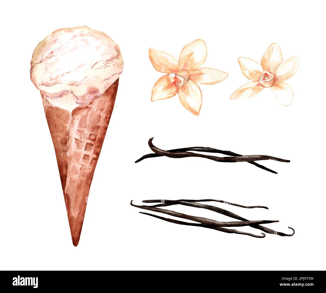Ice cream in a waffle cone and vanilla pods. Set of watercolor hand ...