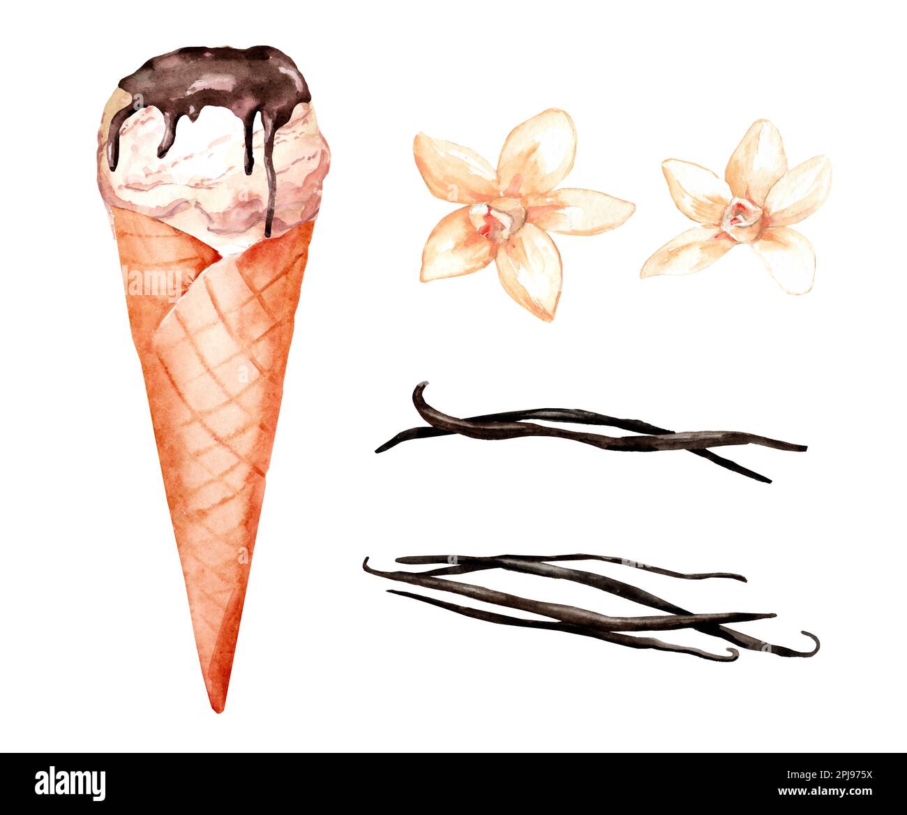 Ice cream in a waffle cone and vanilla pods. Set of watercolor hand ...