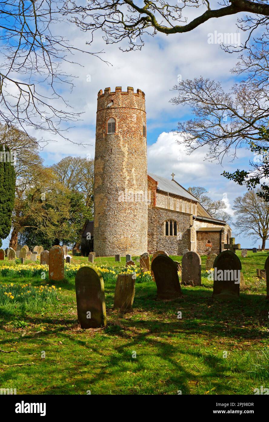 A view of the parish Church of St Margaret in springtime with churchyard daffodils in North Norfolk at Witton, Norfolk, England, United Kingdom. Stock Photo