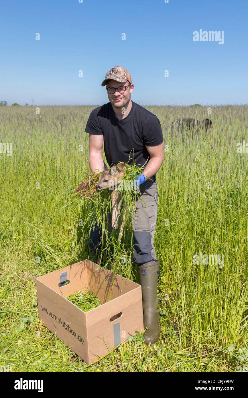 Removing Roe Mowing camera hi-res stock photography and images - Alamy