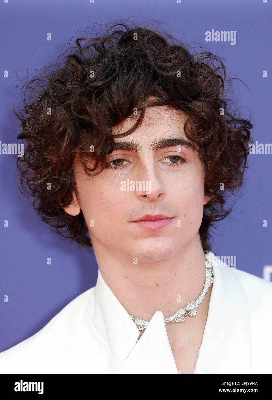 Timothée Chalamet at the BONES AND ALL Milan Photo Call and Premiere - Tom  + Lorenzo