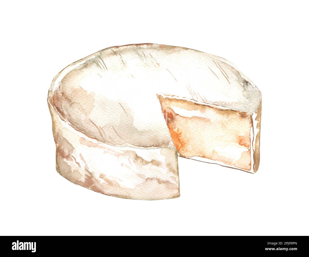 Brie type of cheese. Ripe Camembert, white mould Italian, French cheese set. Hand drawn watercolor illustration, isolated on white background Stock Photo