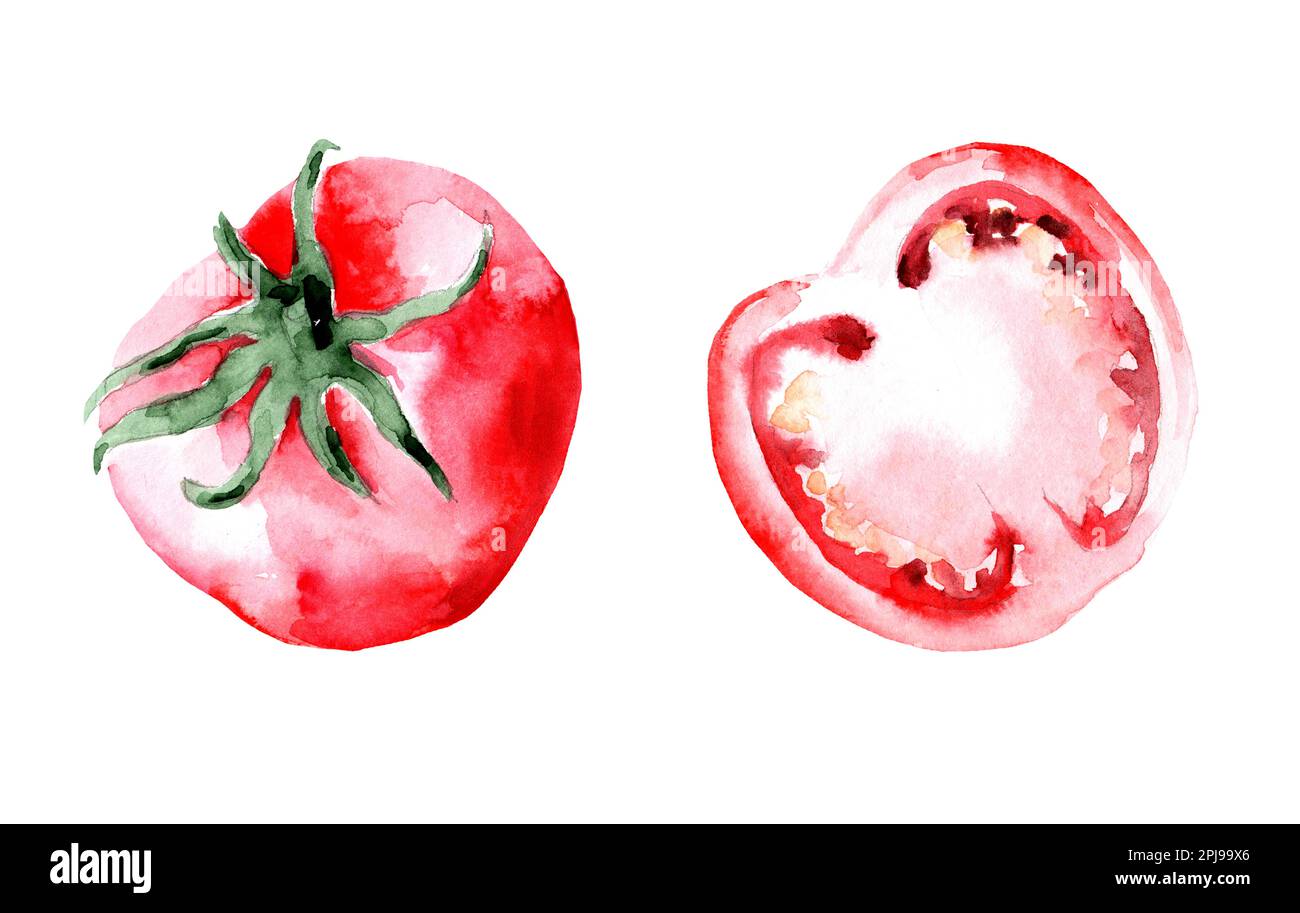 Set of watercolor tomatoes isolated on white background Stock Photo