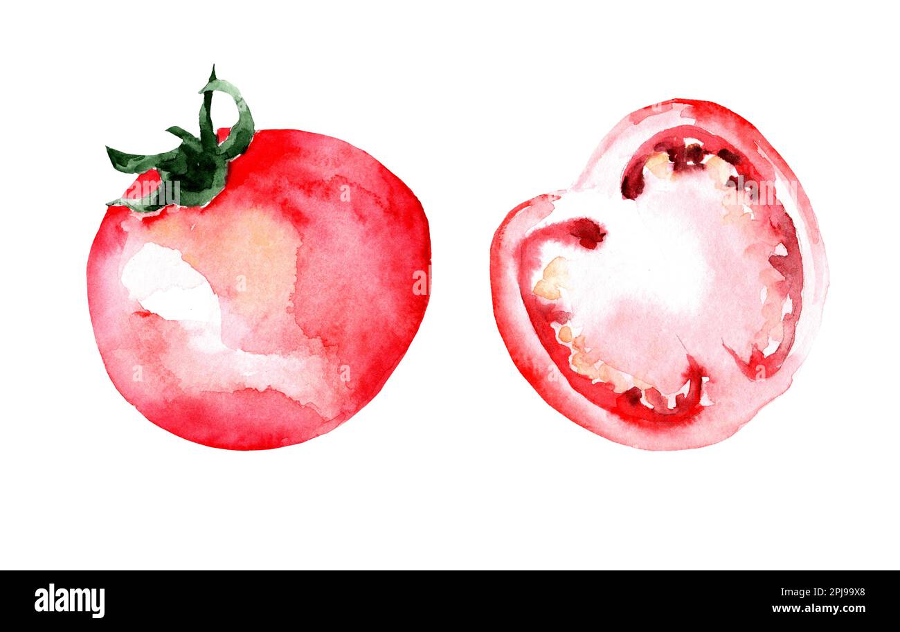 Set of watercolor tomatoes isolated on white background Stock Photo