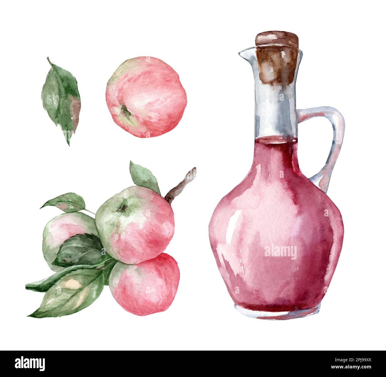 Jar of Apple cider vinegar and ripe apples. Set of watercolor hand