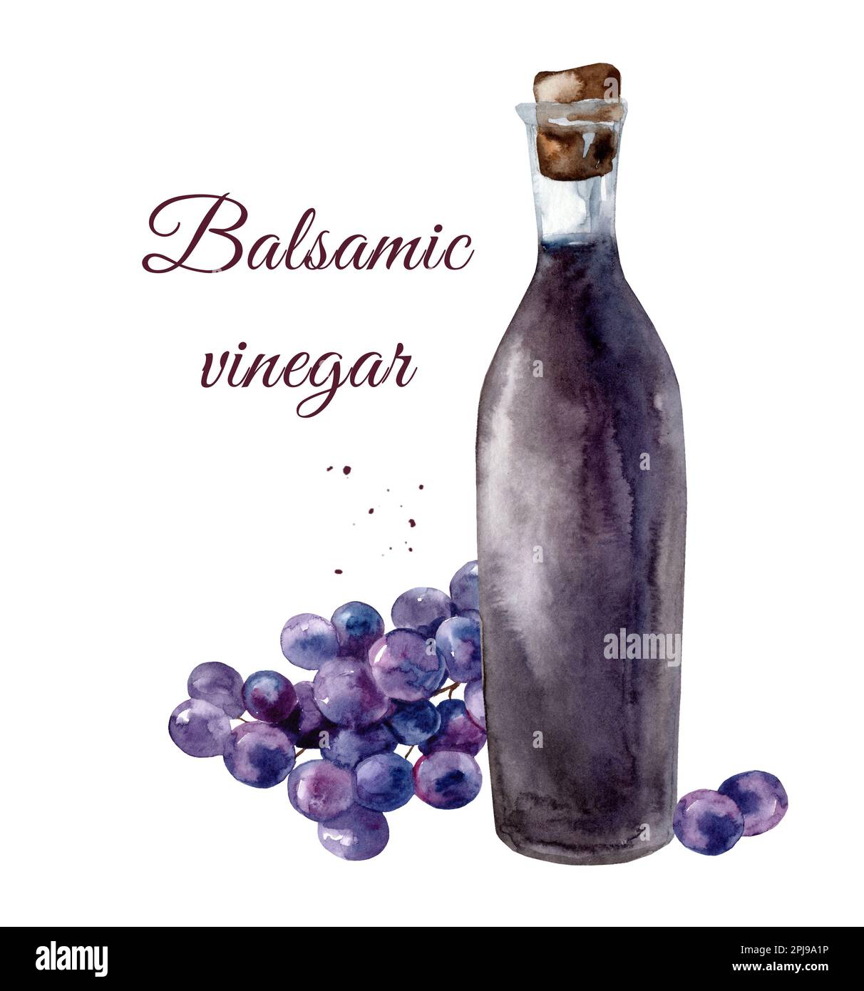 Jar with red wine vinegar. Watercolor hand drawn illustration, isolated