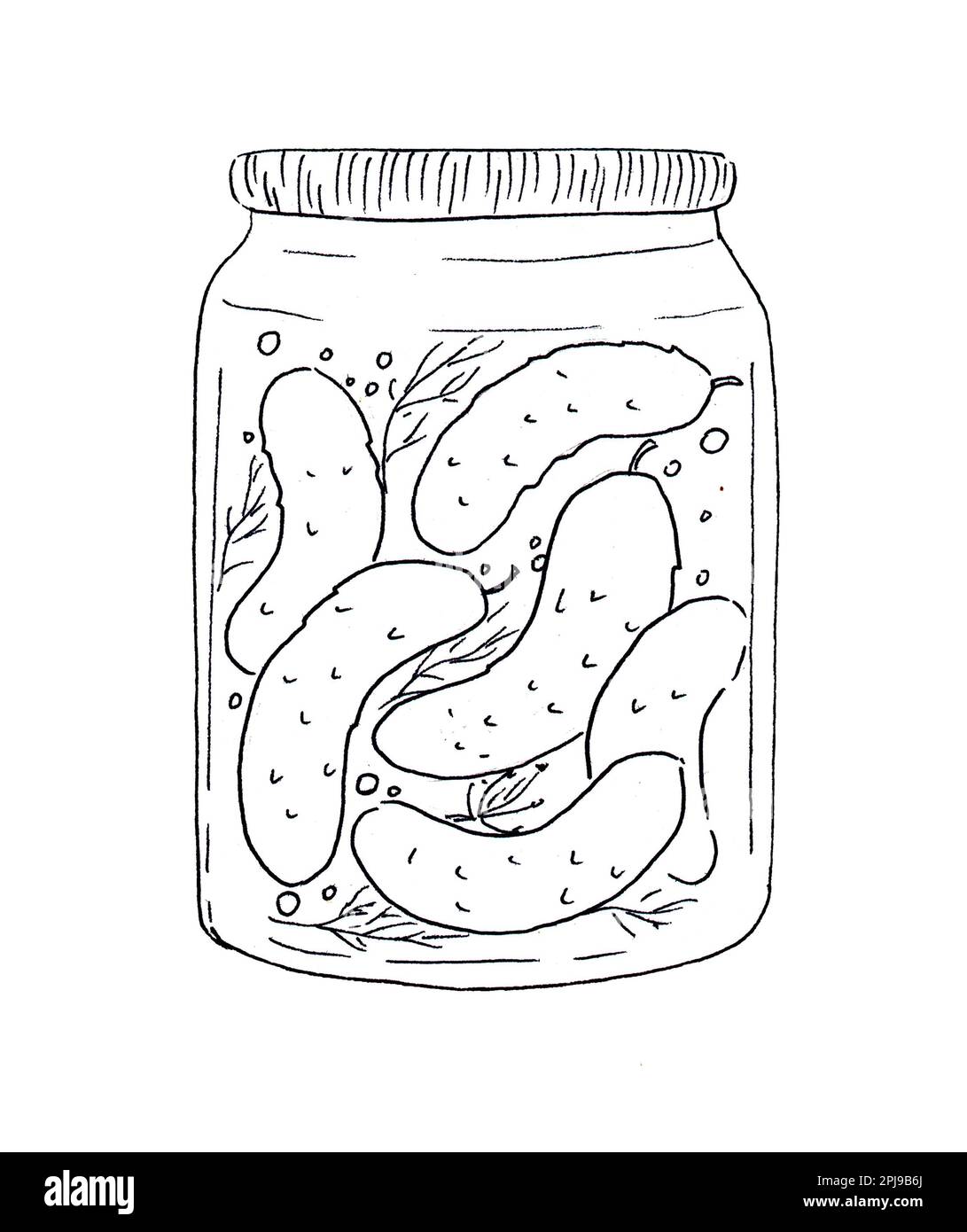 Line Art Pickle Slice