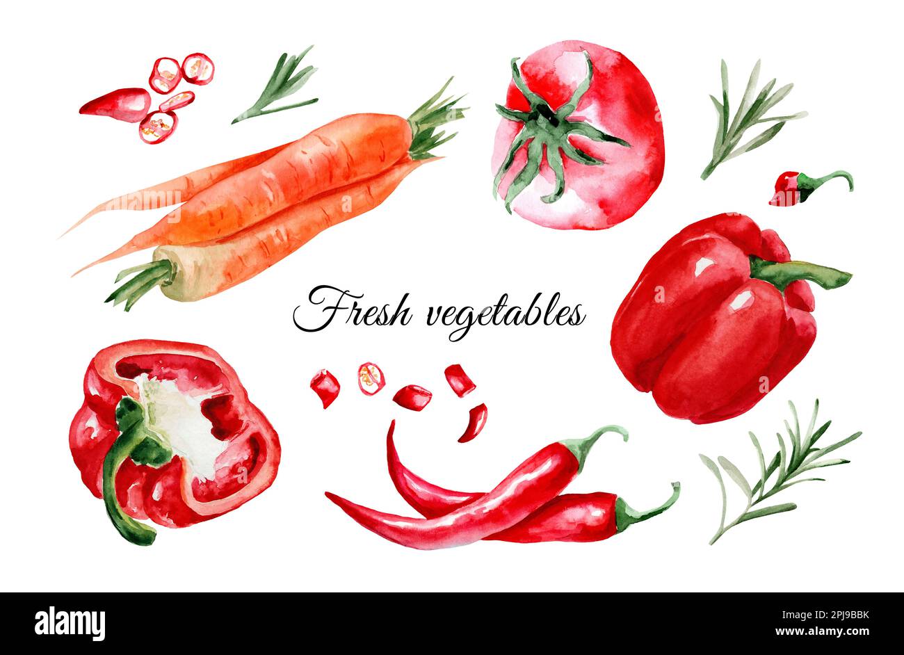 Red vegetables. Watercolor hand drawn illustration with paprika, chili pepper, tomato, carrot