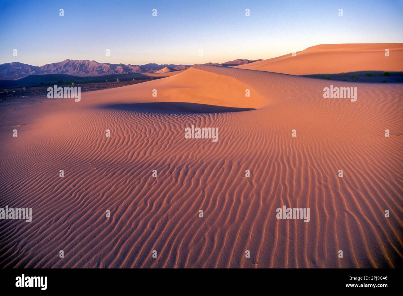 BIG SAND DUNE AMARGOSA DESERT NEVADA USA Stock Photo Alamy