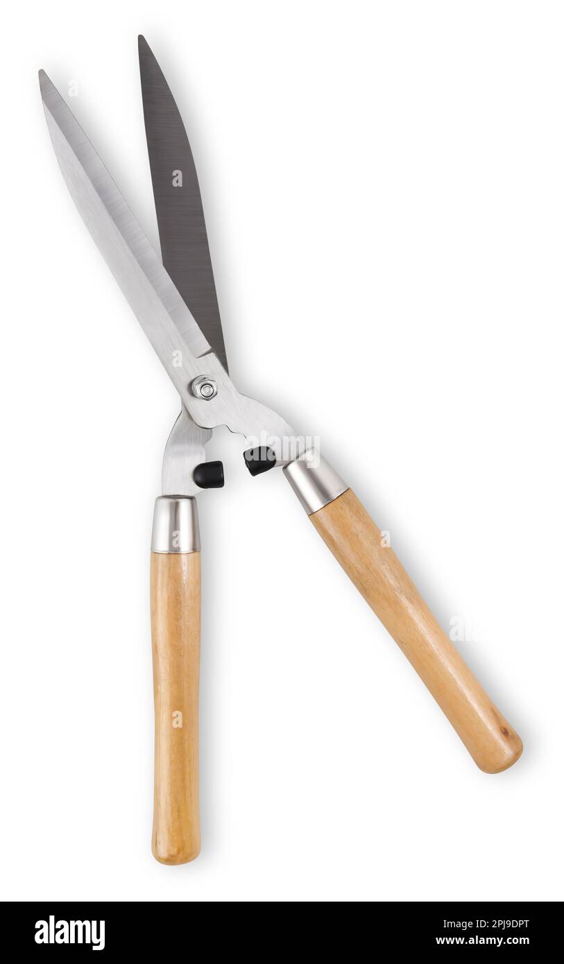 single steel gardening scissors for pruning the hedge with wooden grip ...