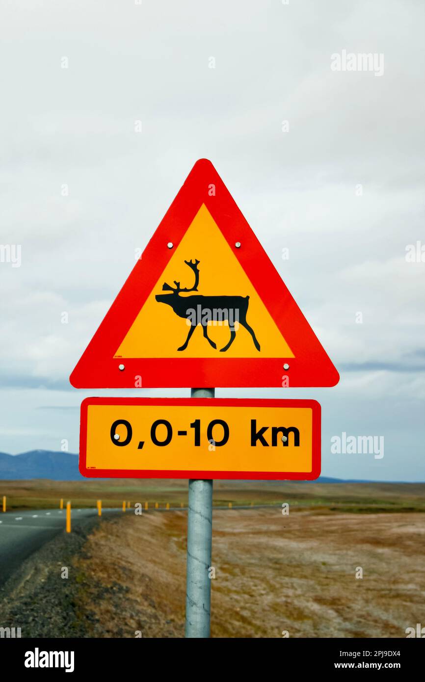 Reindeer warning sign. Iceland, Europe. Stock Photo