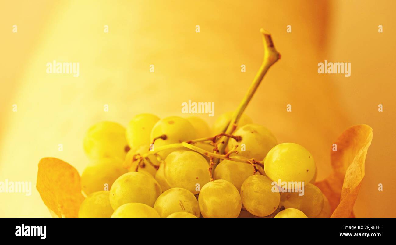 Bunch of white grapes in recyclable paper bag Stock Photo Alamy