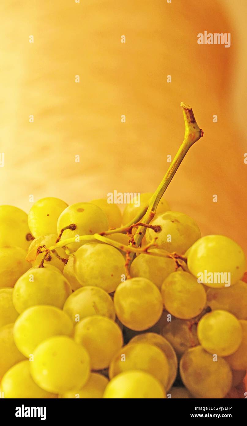 Bunch of white grapes in recyclable paper bag Stock Photo Alamy