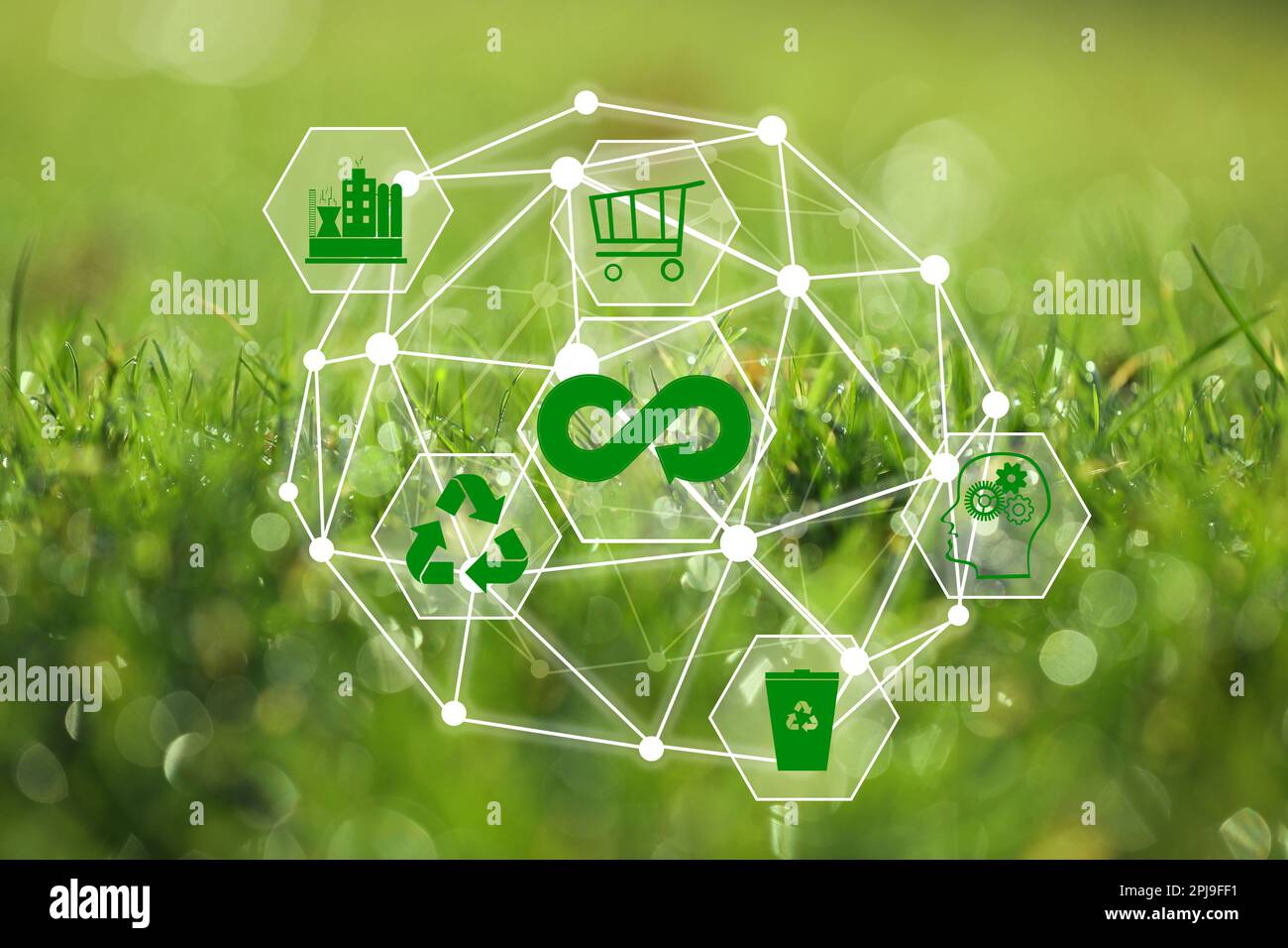 Circular economy concept. Green grass and illustration of infinity symbol and different icons Stock Photo