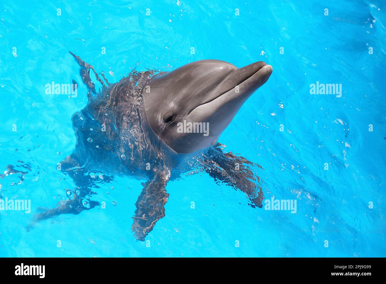wading pool size