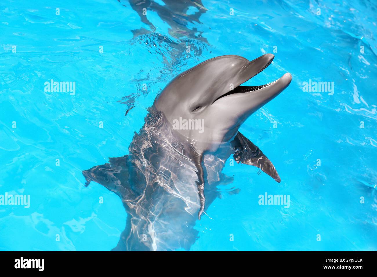 wading pool size