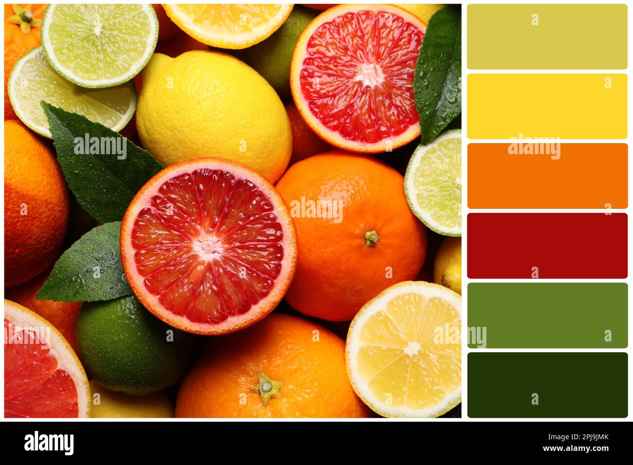 Color palette and different ripe citrus fruits, top view. Collage Stock