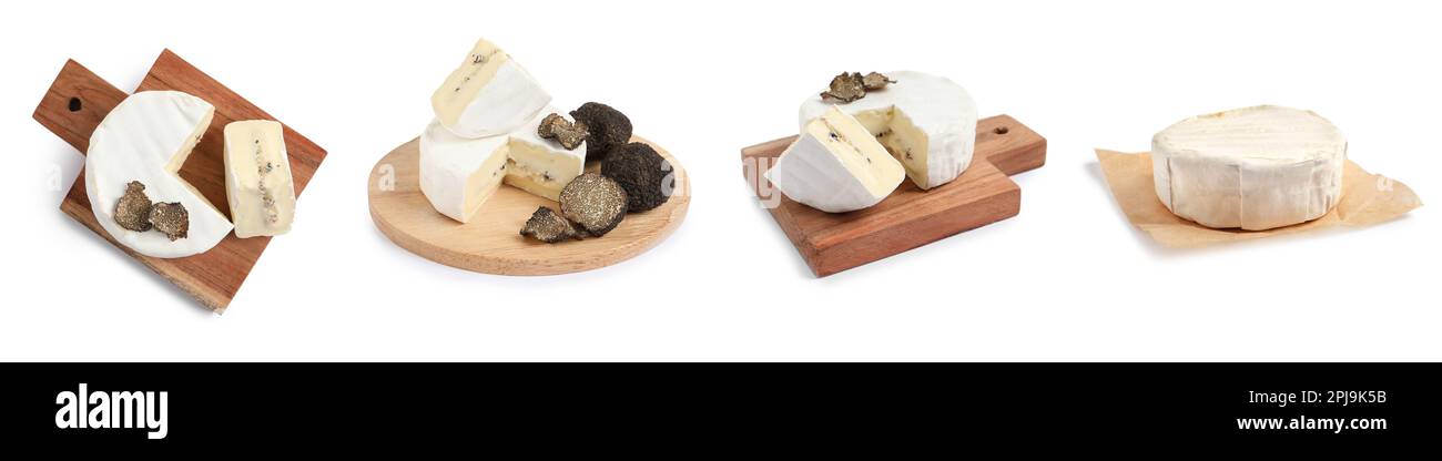 Set with delicious camambert cheese with truffles on white background. Banner design Stock Photo