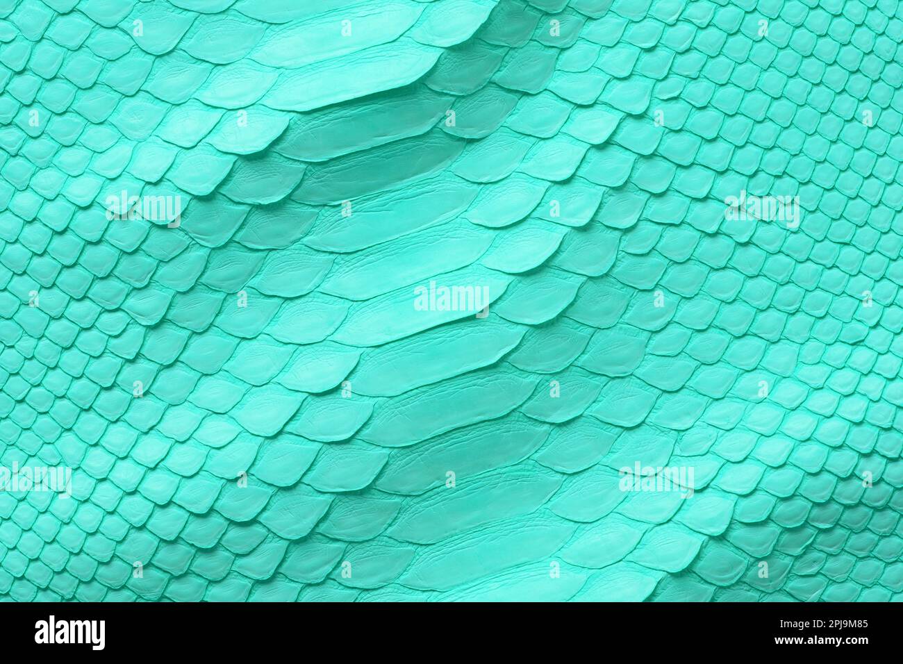 Premium Photo  Green crocodile leather texture generative aixa