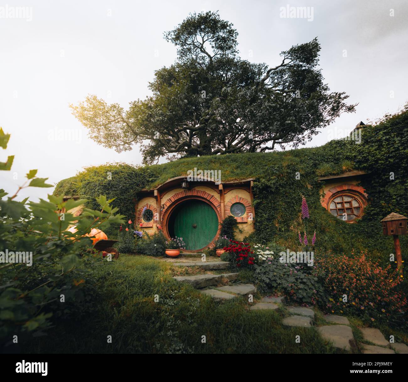 bilbo baggins home and hobbit garden in hobbiton movie set, new zealand. Taken during summer. Sunlight reflection. Travel and adventure concept. Stock Photo