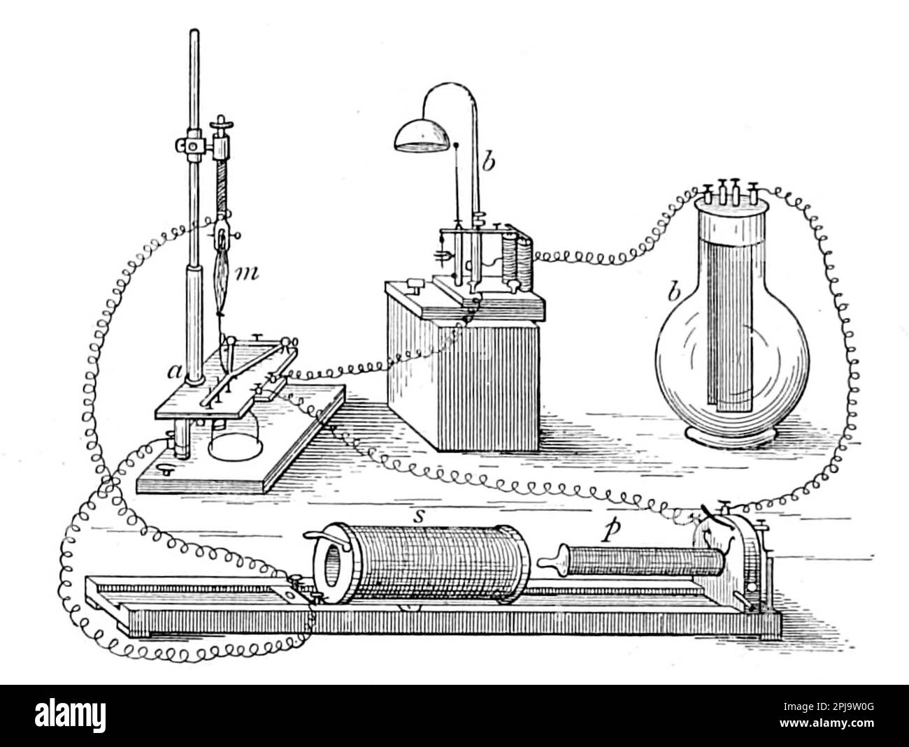 Muscle arrangement Black and White Stock Photos & Images Alamy