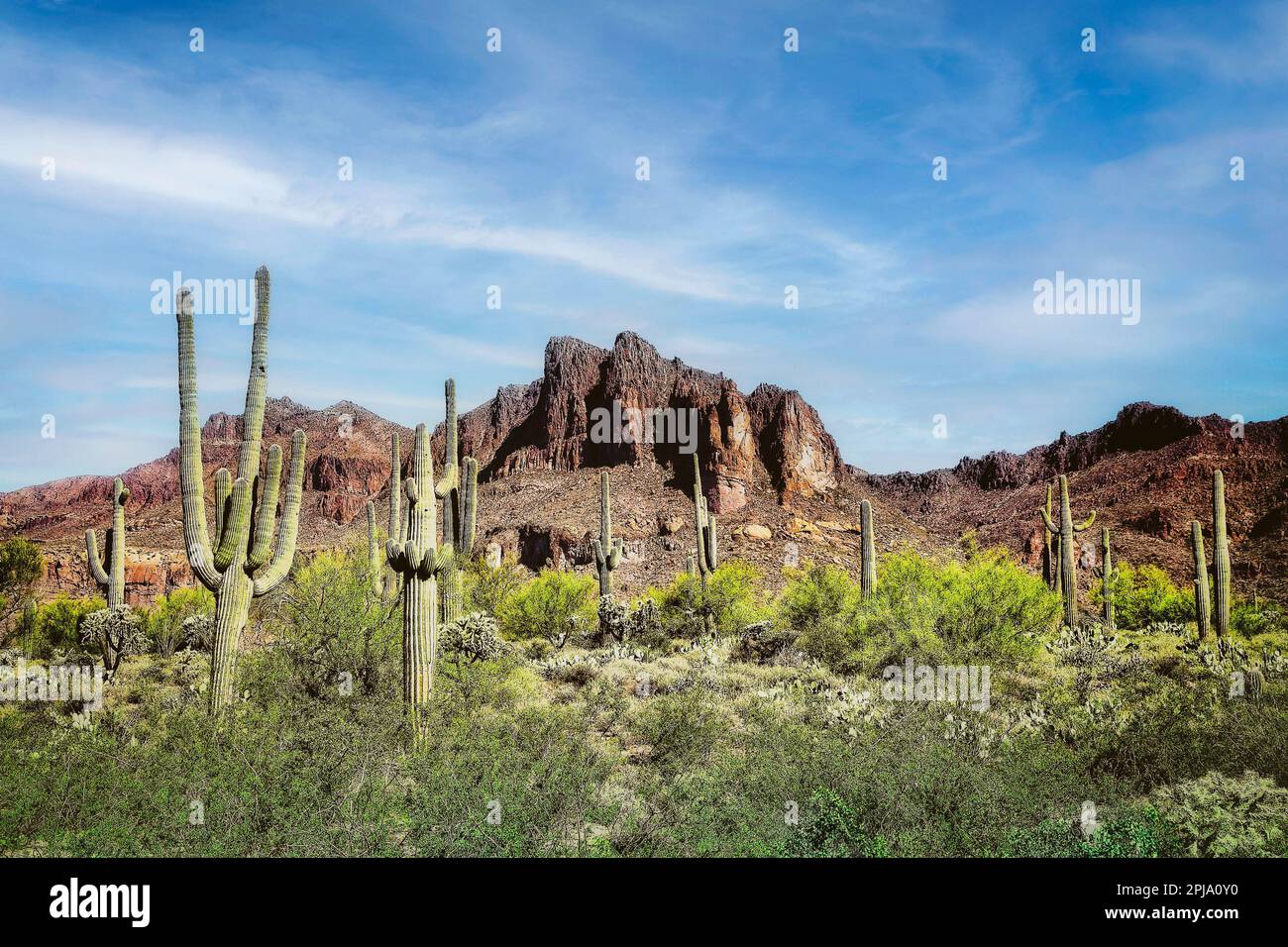 Sonoran desert landscape in the Superstition Mountains of Arizona. Stock Photo