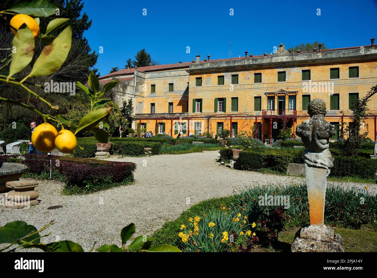 Villa Pisani Bolognesi Scalabrin in Vescovana.. opens its doors to visitors in the season of the blooming tulips. 500.000 tulips will be flowering up to the end May. Vescovana, Veneto, Italy. April 1st, 2023. Credits : Ferdinando Piezzi/Alamy Live News Stock Photo